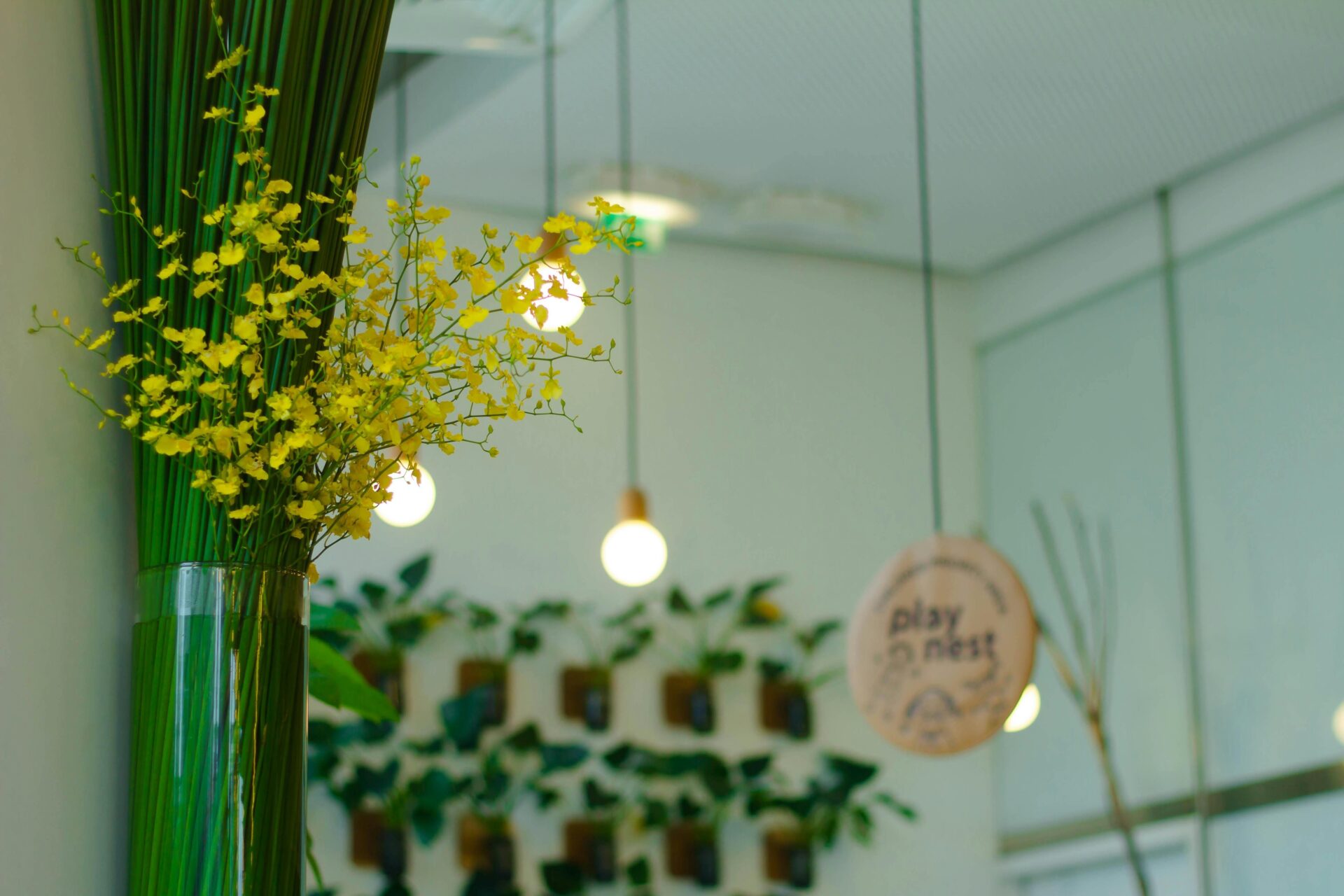 Pflanzen in einem Café